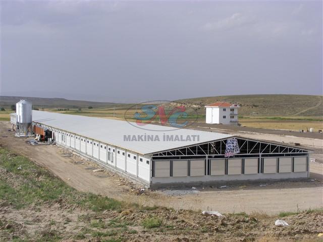 Tek Katlı Tavuk Çiftliği Kurulumu